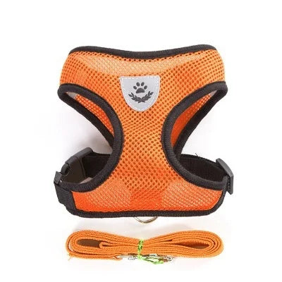 Cat Harness & Leash