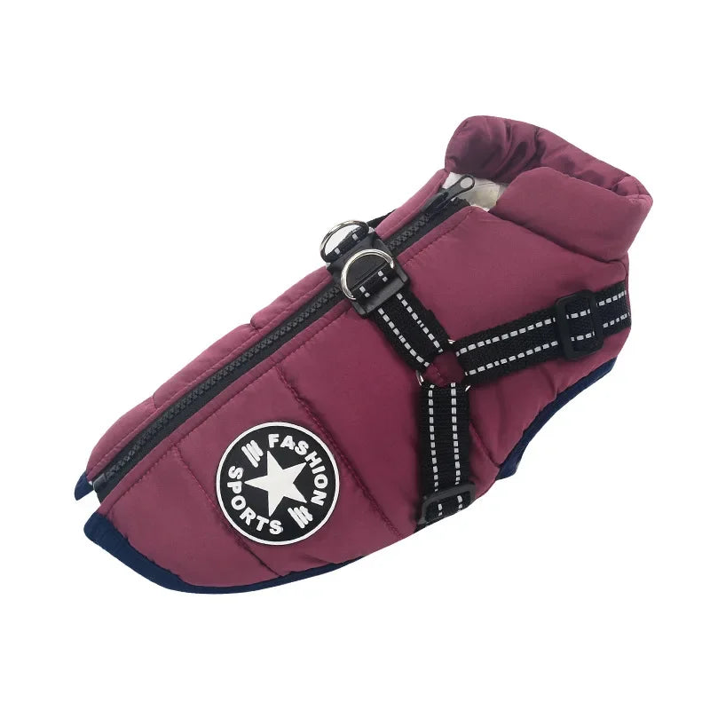 3 in 1 Winter Dog Jacket