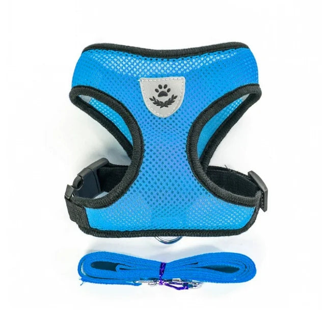 Cat Harness & Leash