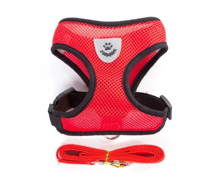 Cat Harness & Leash