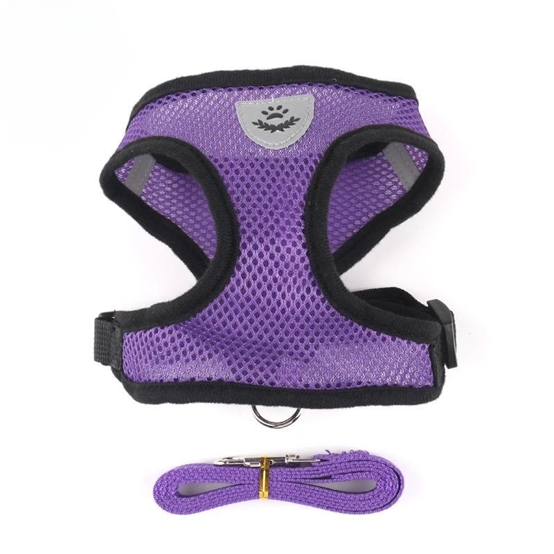 Cat Harness & Leash