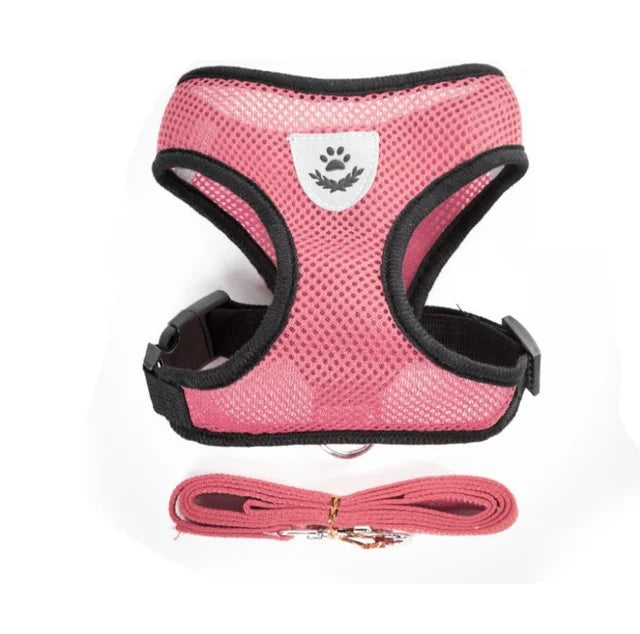 Cat Harness & Leash