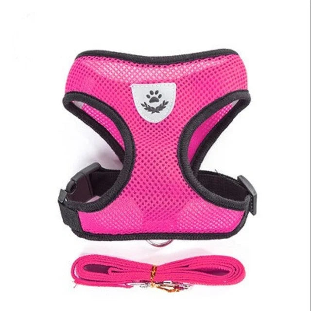 Cat Harness & Leash