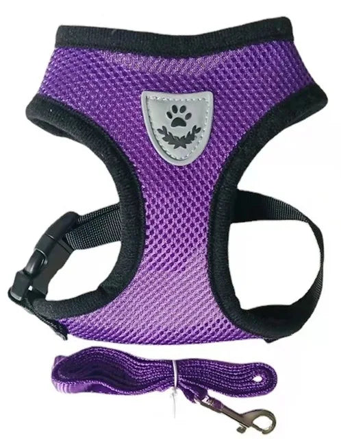 Cat Harness & Leash