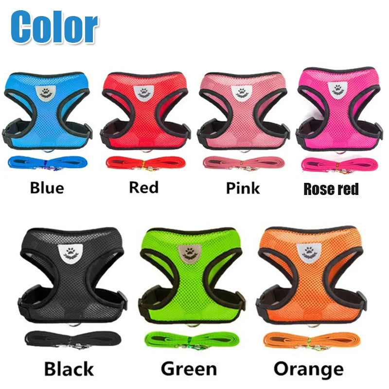 Cat Harness & Leash
