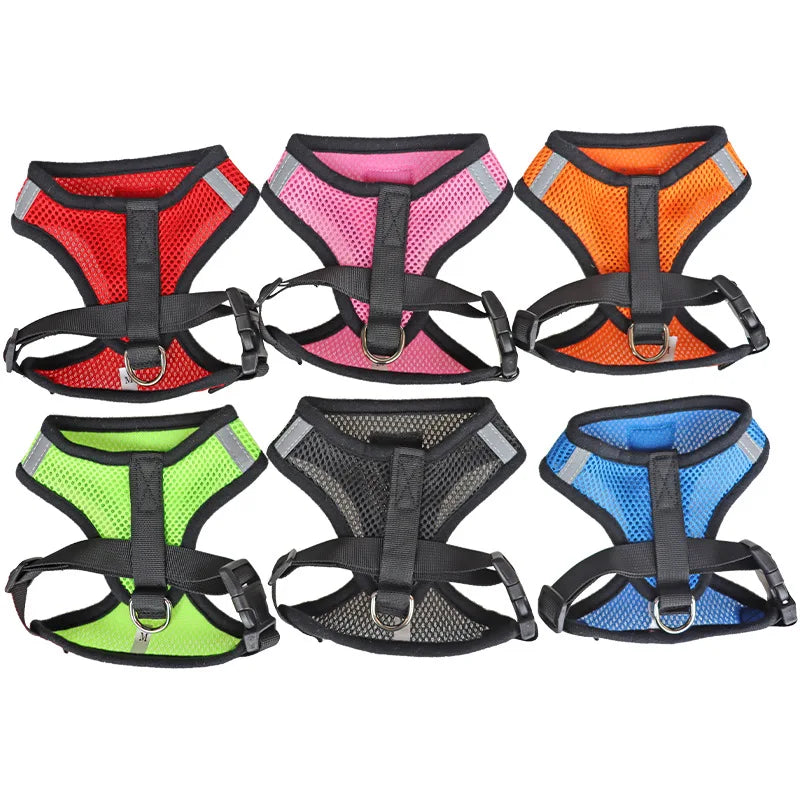 Cat Harness & Leash