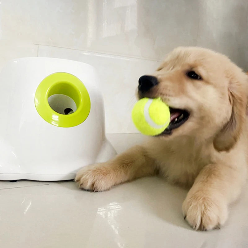 Ball Launcher