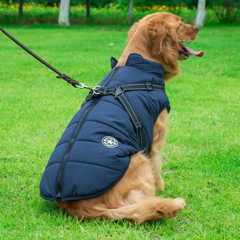 3 in 1 Winter Dog Jacket