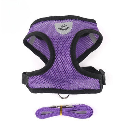 Cat Harness & Leash