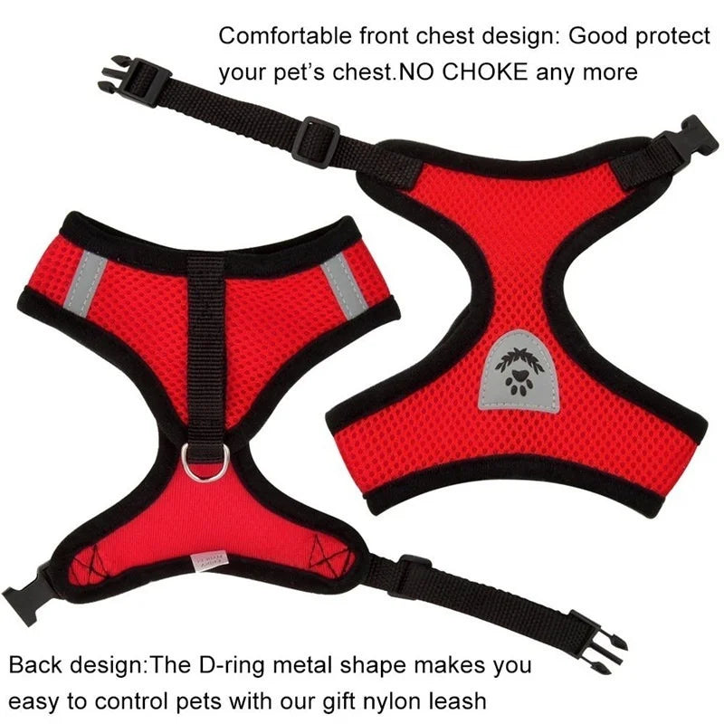 Cat Harness & Leash