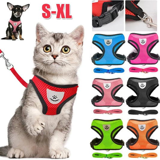 Cat Harness & Leash