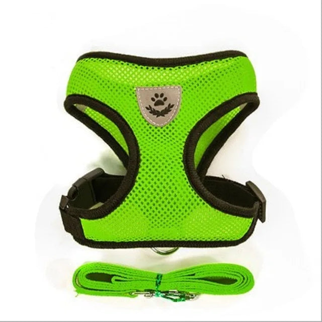 Cat Harness & Leash