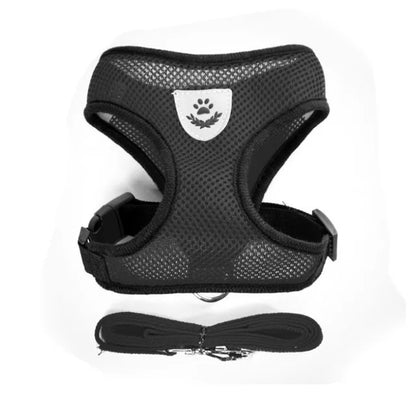 Cat Harness & Leash