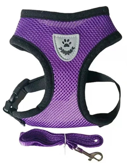 Cat Harness & Leash