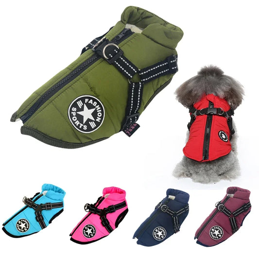3 in 1 Winter Dog Jacket