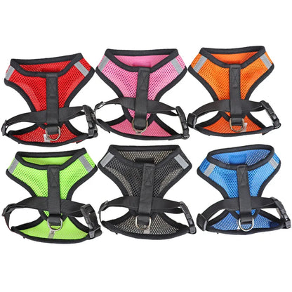 Cat Harness & Leash